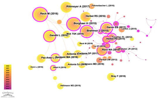 文献共被引分析图B